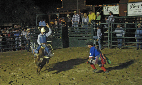 bull ride